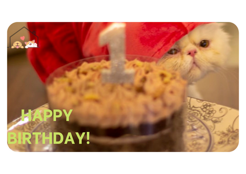 Happy Birthday (Cat) eGift card