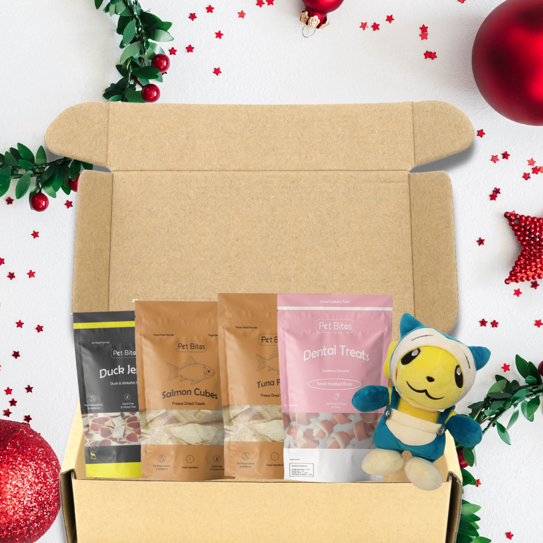 Basic Christmas Gift Box