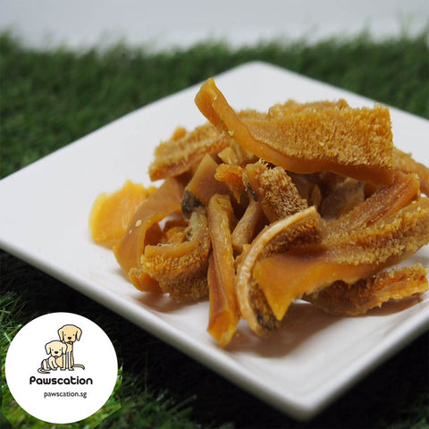 Pawscation Homemade Lamb Tripe 70g