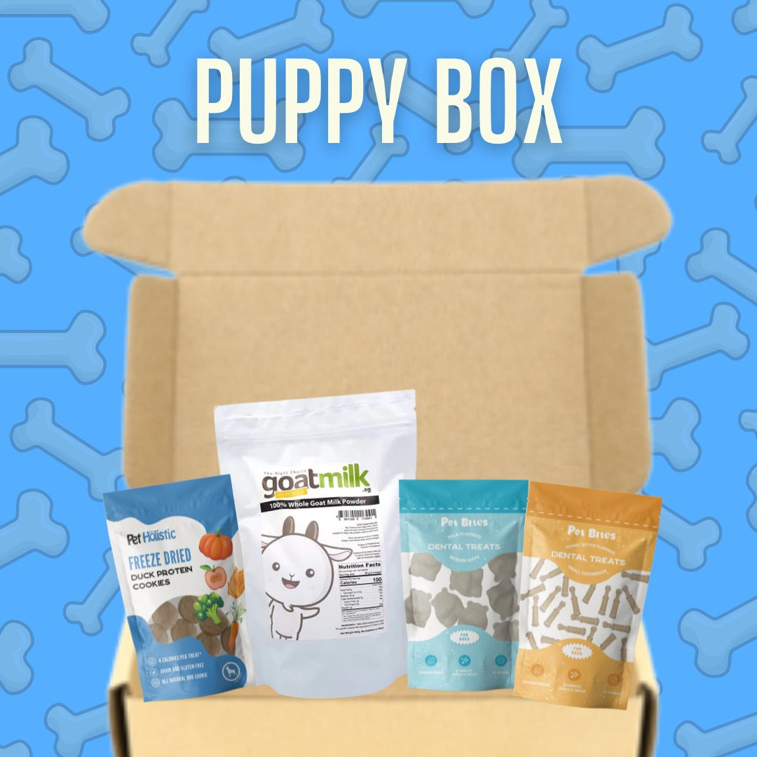 Puppy Gift Box