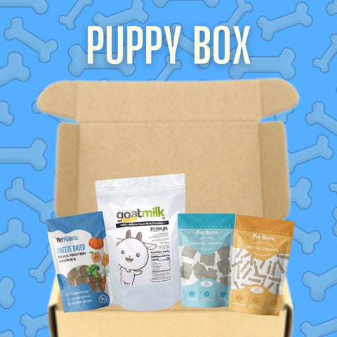 Puppy Gift Box